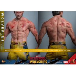 Deadpool & Wolverine Movie Masterpiece Figura 1/6 LOBEZNO(TVA Jacket Version) 31 cm HOT TOYS