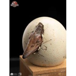  Parque Jurasico ECC Elite Creature Line Estatua 1/2 Pterosaur Hatching 16 cm Elite Creature Collectibles 