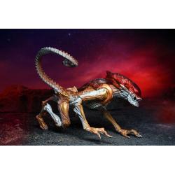 Aliens Figura Panther Alien (Kenner Tribute) 23 cm