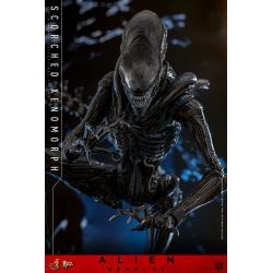 Alien: Romulus Figura Movie Masterpiece 1/6 Scorched Xenomorph 44 cm Hot Toys