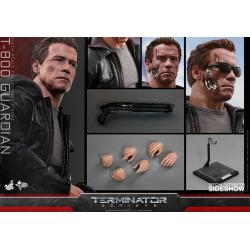 Terminator Genisys: T-800 Guardian - Sixth Scale Figure