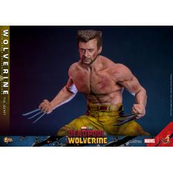 Deadpool & Wolverine Movie Masterpiece Figura 1/6 LOBEZNO(TVA Jacket Version) 31 cm HOT TOYS