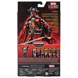 Marvel Legends Series Action Figure Deadpool (Pirate Suit) 15 cm
