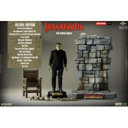 Frankenstein monster 1/6 action figure deluxe edition infinite statue