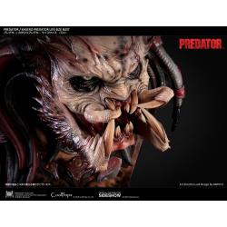 El Depredador busto 1/1 Kagero Predator 64 cm