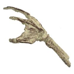 Universal Monsters Mini Réplica Fossilized Creature Hand 18 cm black lagoon Factory Entertainment  