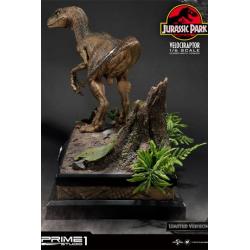 Jurassic Park Estatua 1/6 Velociraptor Closed Mouth Ver. 41 cm