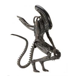 Alien Covenant Figura Xenomorph 25 cm