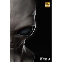 Elite Creature Collectibles: The Grey 1:1 Scale Bust