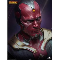 Vision 1/1 Life-size Bust
