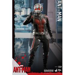 Marvel: Ant-Man Sixth Scale Figure