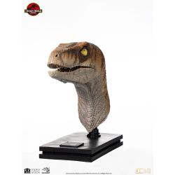 Jurassic Park Estatua tamaño real Male Velociraptor 75 cm  Elite Creature Collectibles 