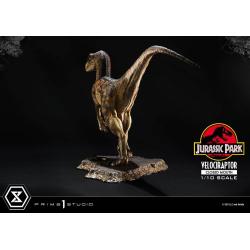 Velociraptor BOCA CERRADA Jurassic Park Estatua Prime Collectibles 1/10  19 cm Parque Jurasico PRIME 1 STUDIO