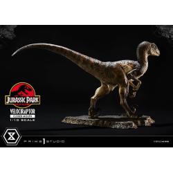 Velociraptor BOCA CERRADA Jurassic Park Estatua Prime Collectibles 1/10  19 cm Parque Jurasico PRIME 1 STUDIO