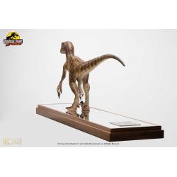  Jurassic Park Estatua 1/4 Velociraptor Clever Girl 49 cm (Con estuche acrílico) PARQUE JURASICO TOYNAMI