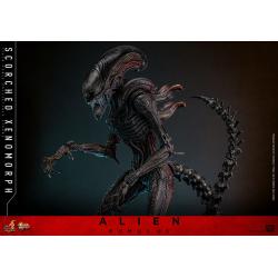 Alien: Romulus Figura Movie Masterpiece 1/6 Scorched Xenomorph 44 cm Hot Toys