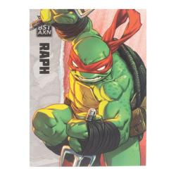 Tortugas Ninja Figura BST AXN Raphael (IDW Comics) 13 cm The Loyal Subjects