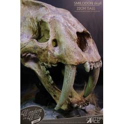 Wonders of the Wild Series Statue Smilodon Skull Fossil 22 cm