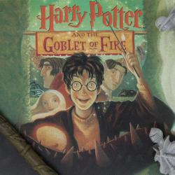 Harry Potter Art Print Goblet of Fire Book Cover Artwork Limited Edition 42 x 30 cm