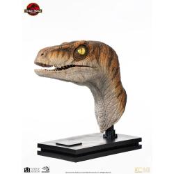 Jurassic Park Estatua tamaño real Male Velociraptor 75 cm  Elite Creature Collectibles 