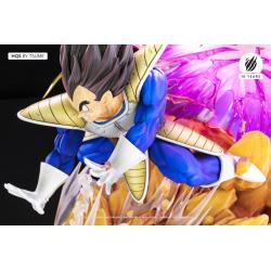 Vegeta Galick Gun TSUME