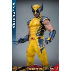 Deadpool & Wolverine Movie Masterpiece Action Figure 1/6 Wolverine 31 cm HOT TOYS