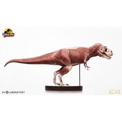 Jurassic Park Statue 1/12 T-Rex Anatomy 45 cm