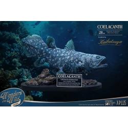 Wonders of the Wild Estatua Coelacanth Deluxe Version 28 cm