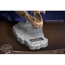 Wonders of the Wild Series Estatua T-Rex Head Skull 30 cm Star Ace Toys