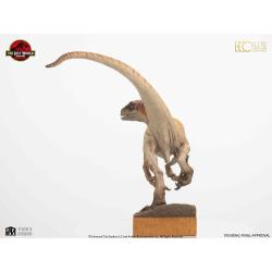 Jurassic Park Estatua 1/4 The Lost World: Jurassic Park Male Velociraptor 63 cm