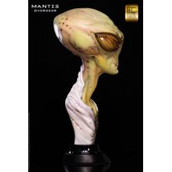 Mantis 1:1 life size bust by Steve Wang