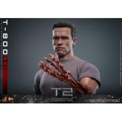 Terminator 2 Figura 1/6 Movie Masterpiece T-800 Battle 2.0 32 cm HOT TOYS