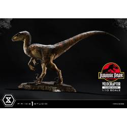 Velociraptor BOCA CERRADA Jurassic Park Estatua Prime Collectibles 1/10  19 cm Parque Jurasico PRIME 1 STUDIO