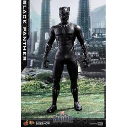 Black Panther 1/6 Movie Masterpiece Series  
