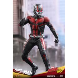 Ant-Man Sixth Scale Figure by Hot Toys Ant-Man and the Wasp - Movie Masterpiece Series   