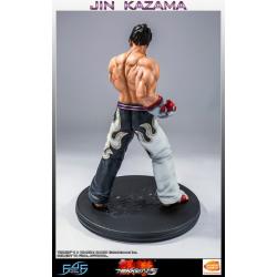 Tekken 5 Estatua 1/4 Jin Kazama 48 cm