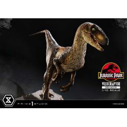  Parque Jurasico Estatua Prime Collectibles 1/10 Velociraptor Open Mouth 19 cm Prime 1 Studio