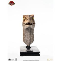 Jurassic Park Estatua tamaño real Male Velociraptor 75 cm  Elite Creature Collectibles 