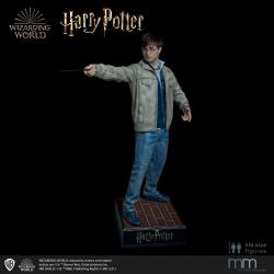Cabeza de silicona para la estatua de tama?o real Harry Potter MMHP-HPDH-1