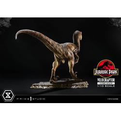 Velociraptor BOCA CERRADA Jurassic Park Estatua Prime Collectibles 1/10  19 cm Parque Jurasico PRIME 1 STUDIO