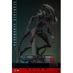 Alien: Romulus Figura Movie Masterpiece 1/6 Scorched Xenomorph 44 cm Hot Toys