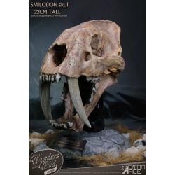 Wonders of the Wild Series Statue Smilodon Skull Fossil 22 cm