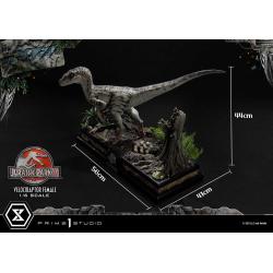 Jurassic Park III Estatua Legacy Museum Collection 1/6 Velociraptor Female 44 cm  Parque Jurasico Prime 1 Studio