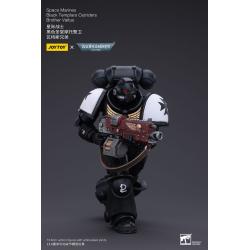 Warhammer 40k Figura 1/18 Space Marines Black Templars Outriders Brother Valtus 14 cm  Joy Toy (CN) 