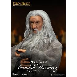 El Señor de los Anillos Figura Dynamic 8ction Heroes 1/9 Gandalf the Grey 21 cm BEAST KINGDOM