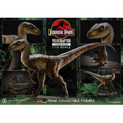 Velociraptor BOCA CERRADA Jurassic Park Estatua Prime Collectibles 1/10  19 cm Parque Jurasico PRIME 1 STUDIO