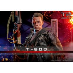 Terminator 2 Figura 1/6 Movie Masterpiece T-800 Battle Damaged Version 2.0 32 cm Hot Toys 