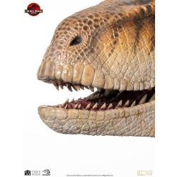 Jurassic Park Estatua tamaño real Male Velociraptor 75 cm  Elite Creature Collectibles 