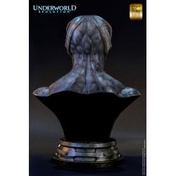 Underworld Evolution: Marcus Bust