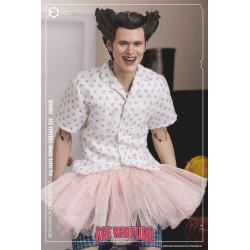 Ace Ventura, un detective diferente Figura 1/6 Ace Ventura Shady Acres Version 30 cm Asmus Collectible Toys